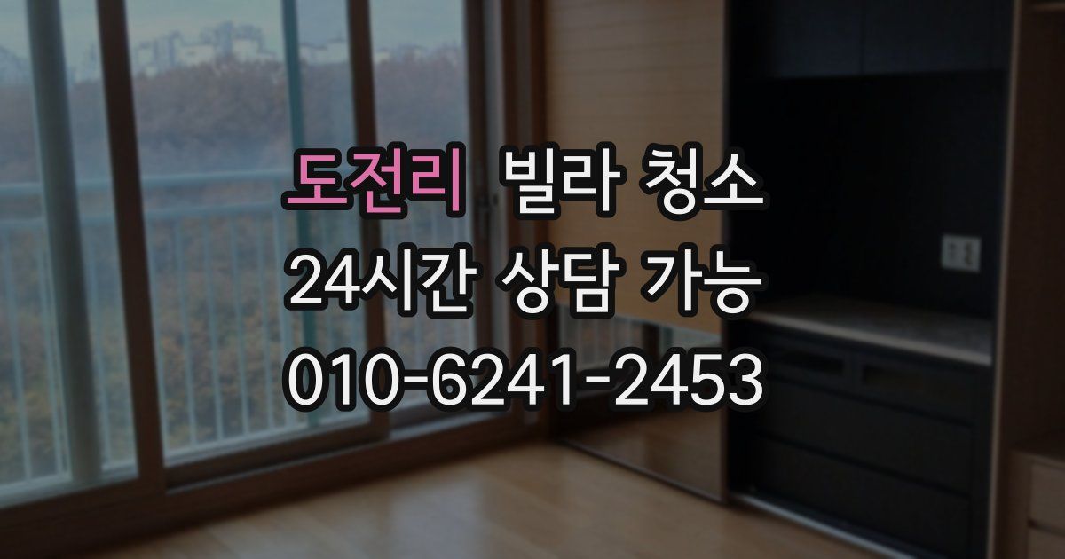 도전리 빌라 청소