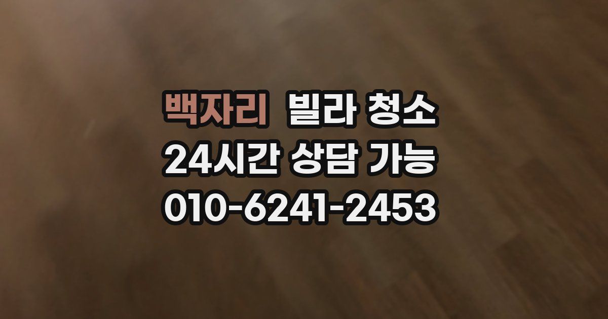 백자리 빌라 청소