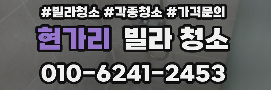 현가리 빌라 청소