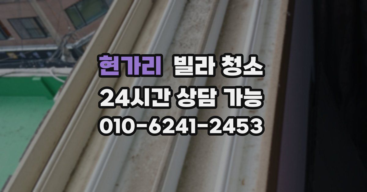 현가리 빌라 청소