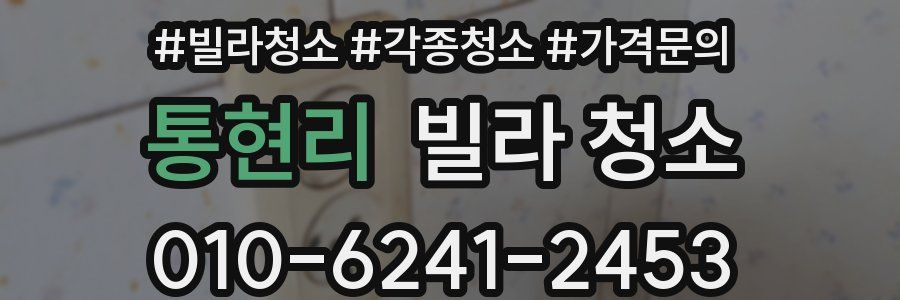 통현리 빌라 청소