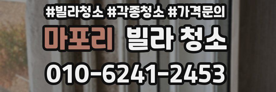 마포리 빌라 청소