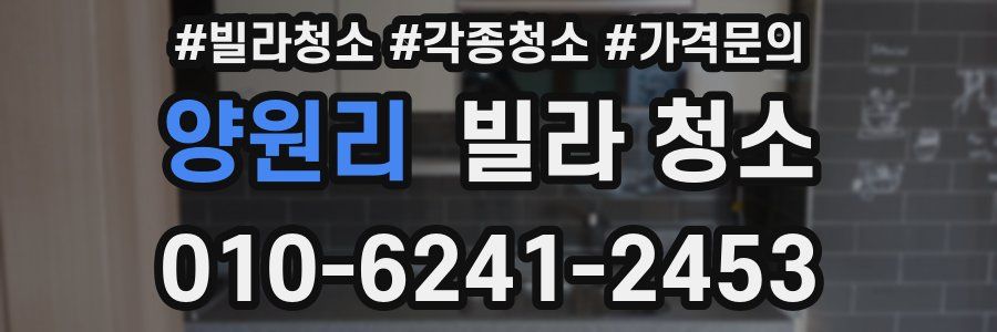 양원리 빌라 청소