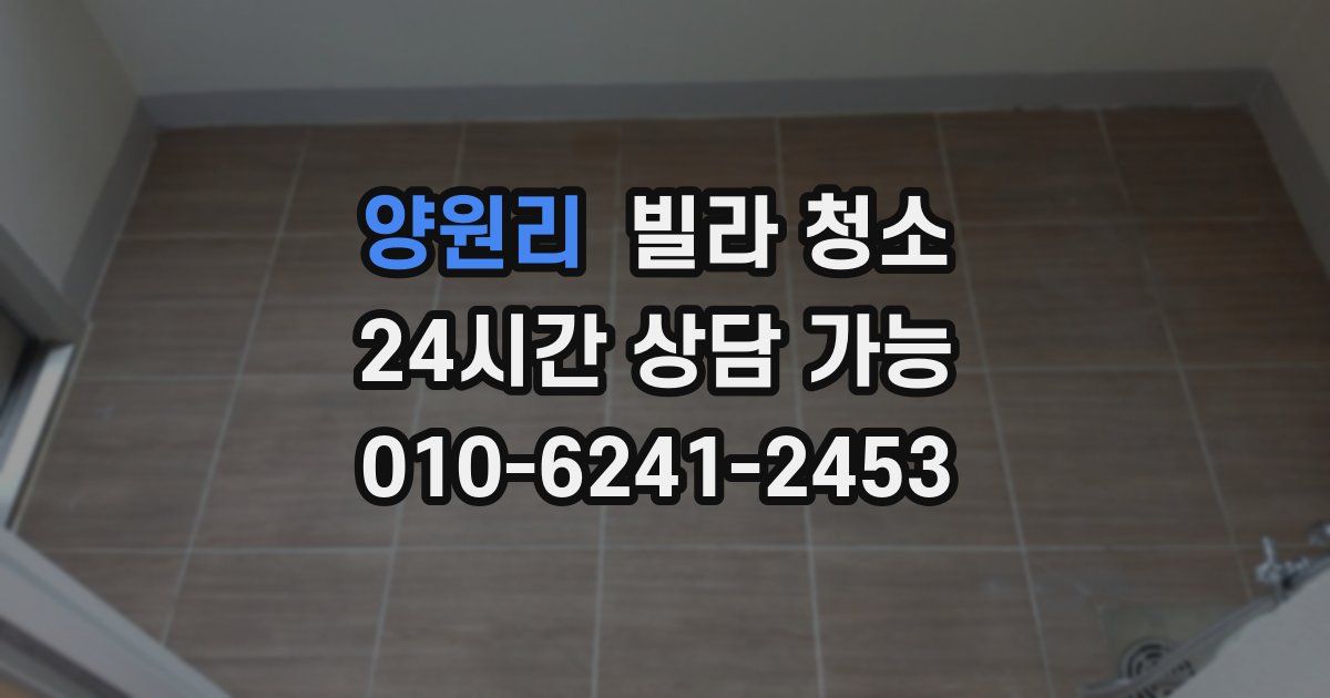 양원리 빌라 청소