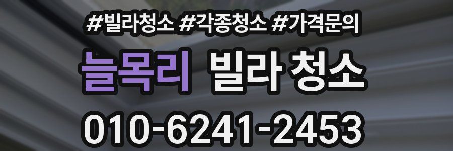 늘목리 빌라 청소