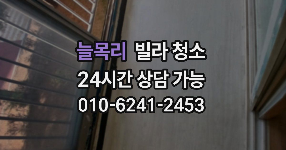 늘목리 빌라 청소