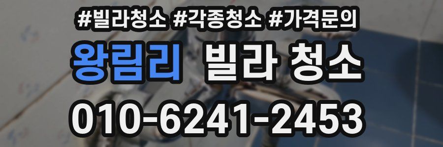 왕림리 빌라 청소