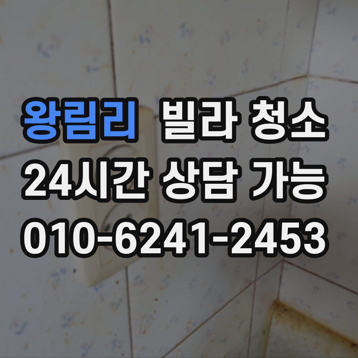 왕림리 빌라 청소