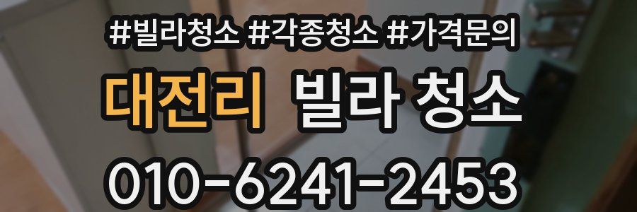 대전리 빌라 청소