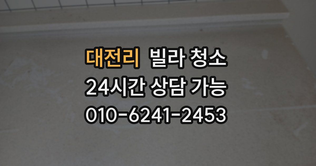 대전리 빌라 청소