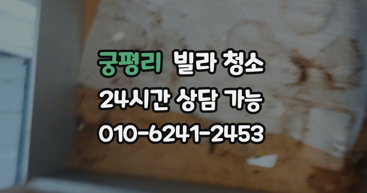 궁평리 빌라 청소