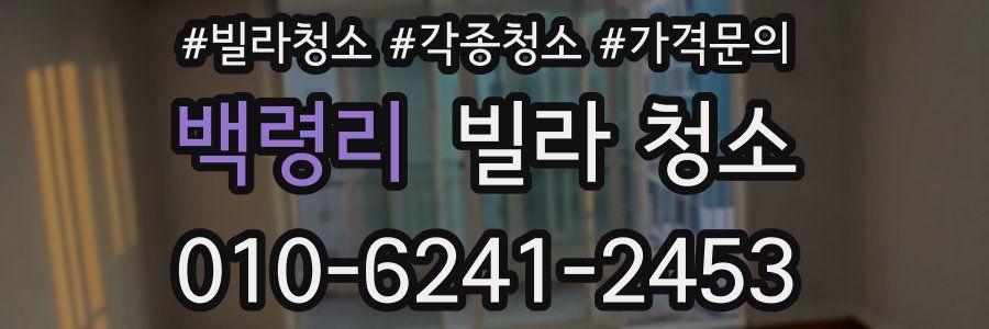 백령리 빌라 청소