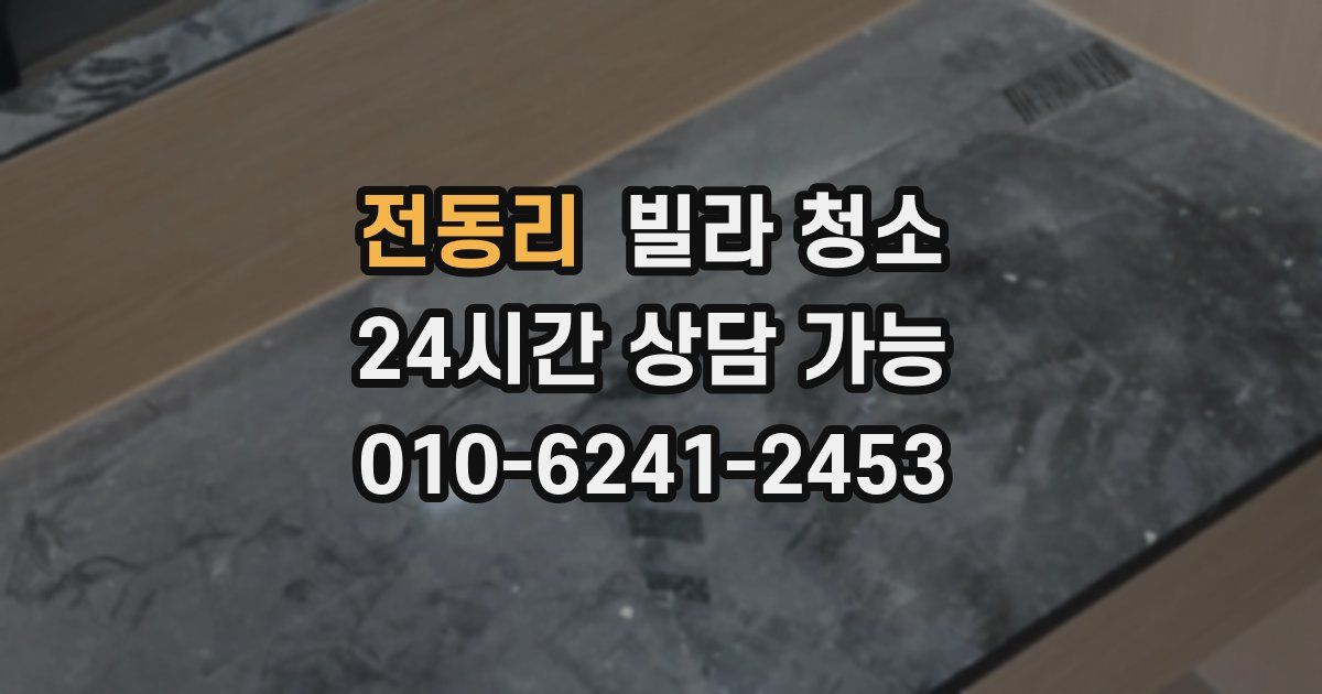 전동리 빌라 청소