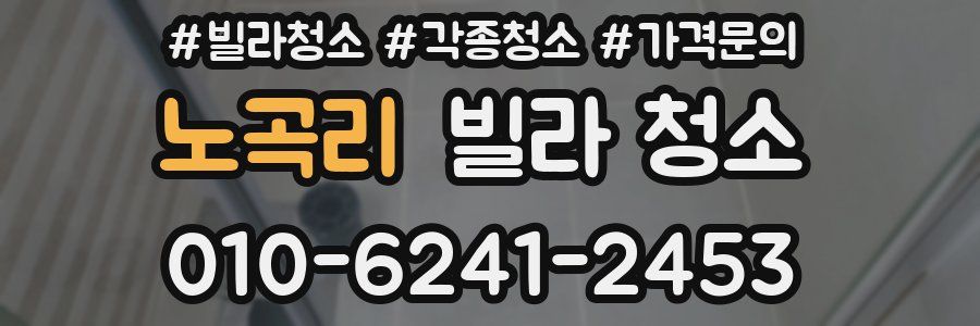 노곡리 빌라 청소