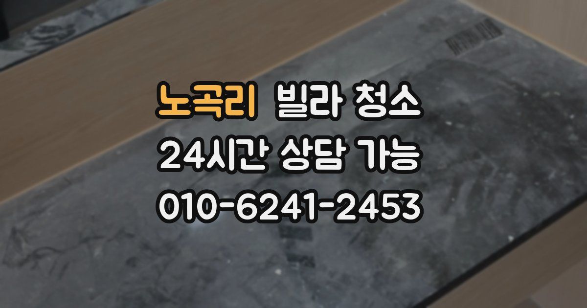 노곡리 빌라 청소