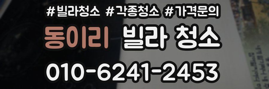 동이리 빌라 청소