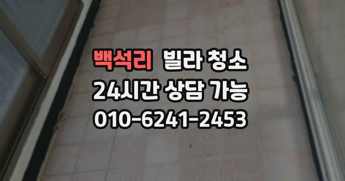 백석리 빌라 청소