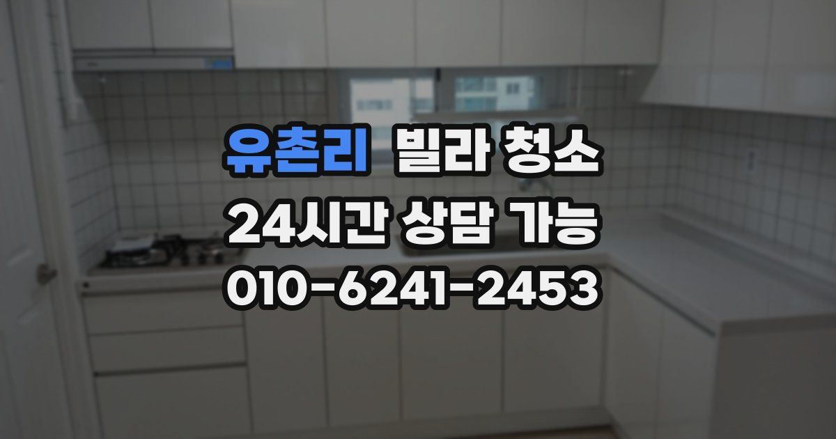 유촌리 빌라 청소