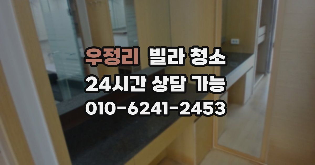 우정리 빌라 청소