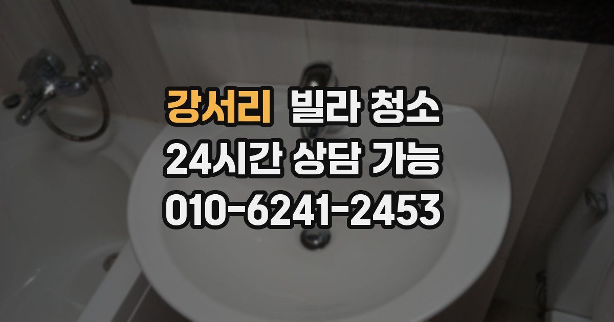 강서리 빌라 청소