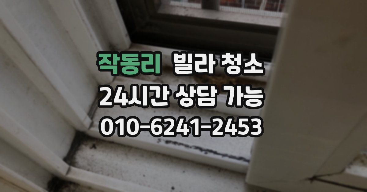 작동리 빌라 청소