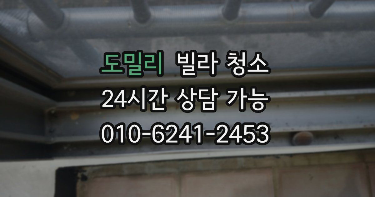 도밀리 빌라 청소