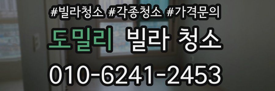 도밀리 빌라 청소