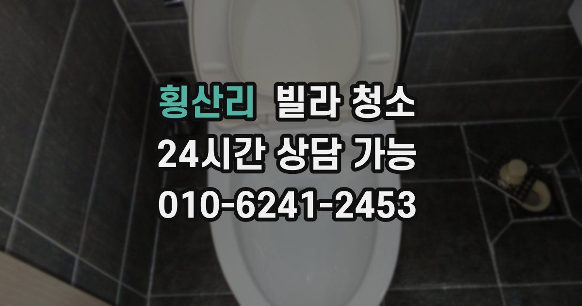 횡산리 빌라 청소