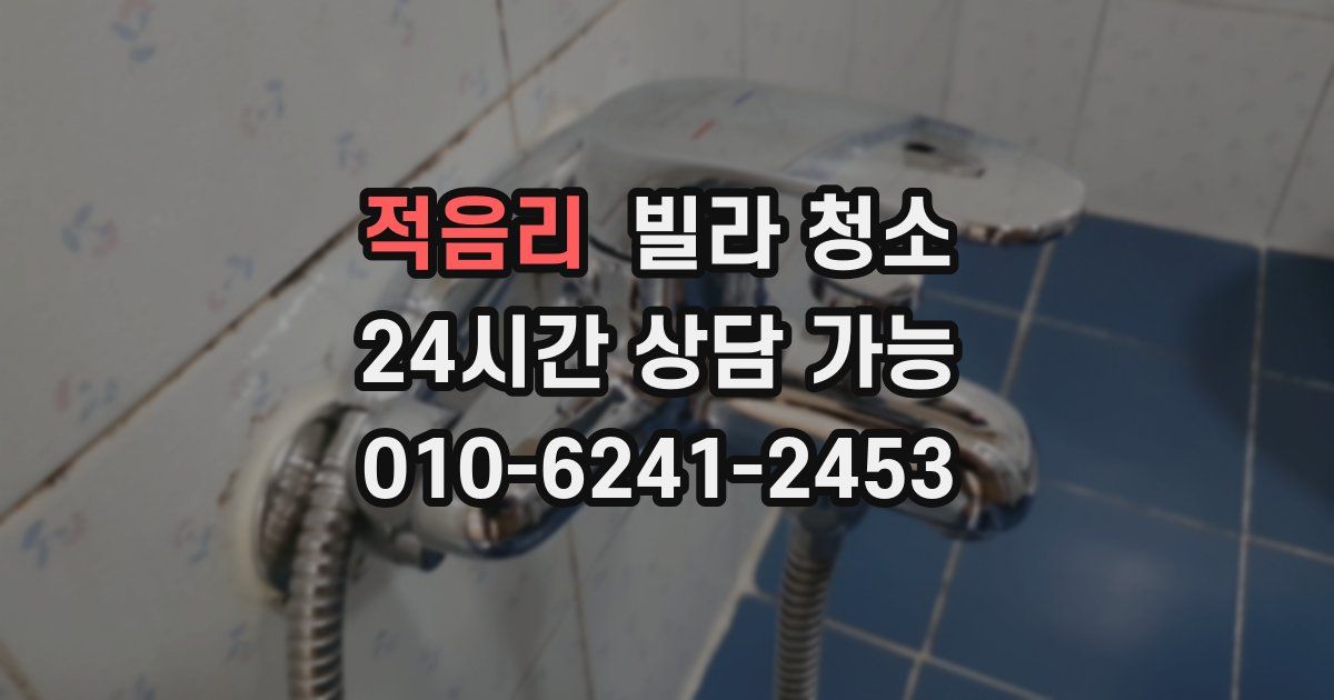 적음리 빌라 청소