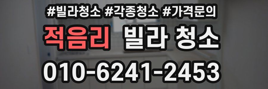 적음리 빌라 청소