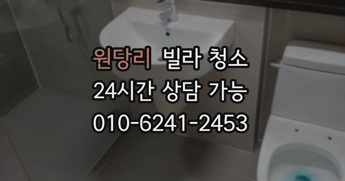 원당리 빌라 청소