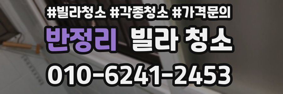 반정리 빌라 청소