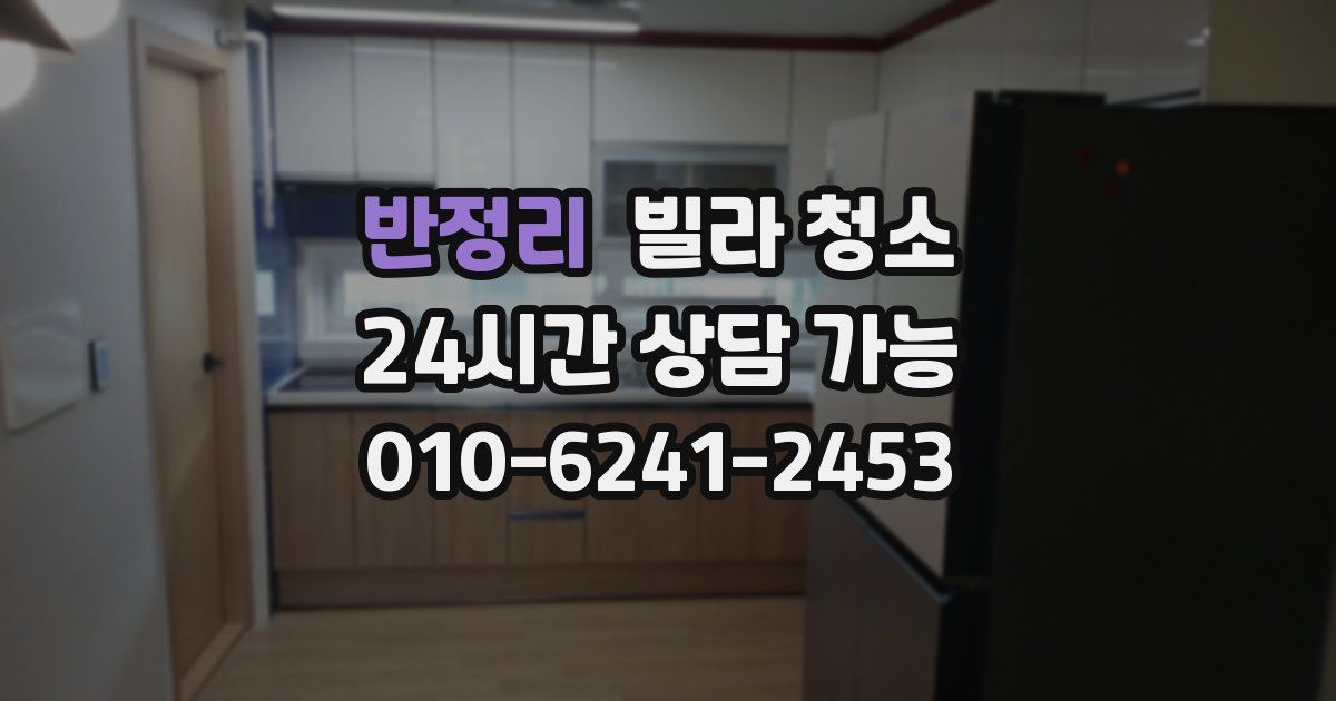 반정리 빌라 청소