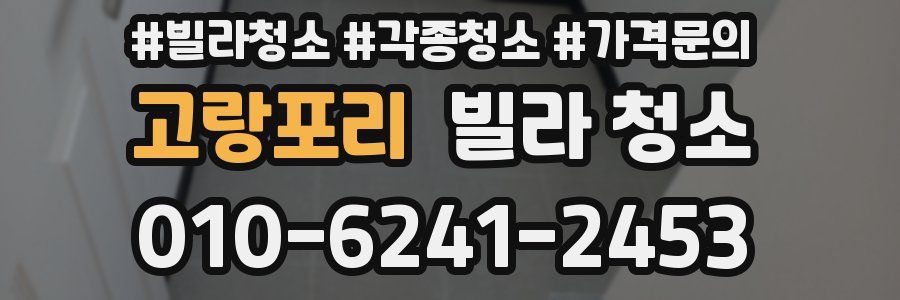 고랑포리 빌라 청소