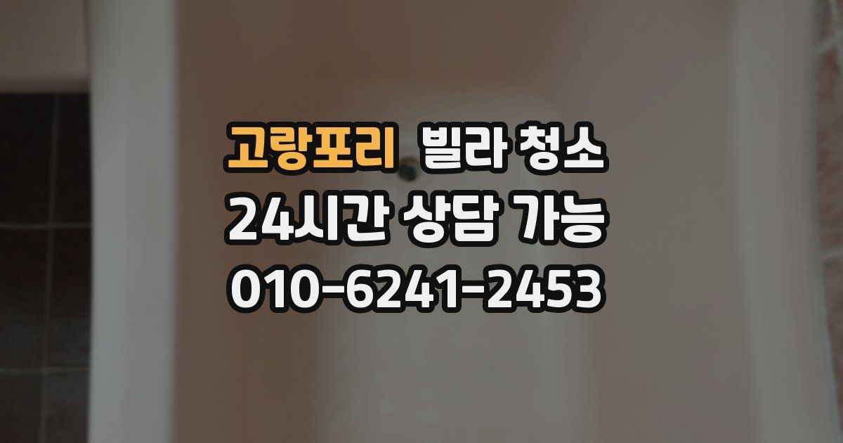 고랑포리 빌라 청소