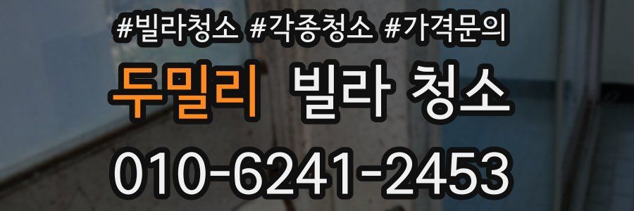 두밀리 빌라 청소