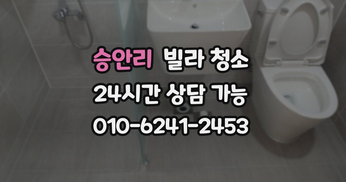 승안리 빌라 청소