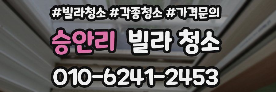 승안리 빌라 청소