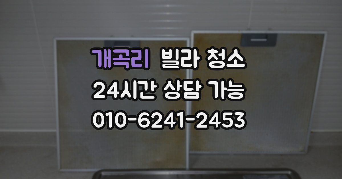 개곡리 빌라 청소