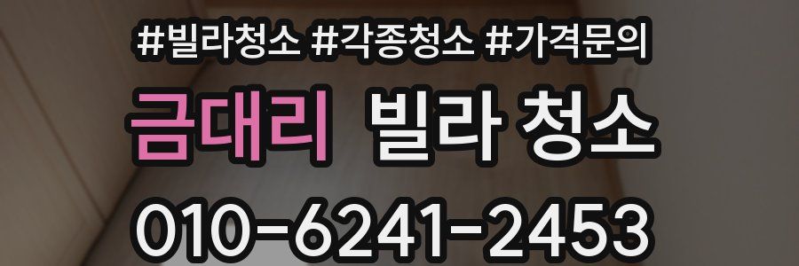 금대리 빌라 청소
