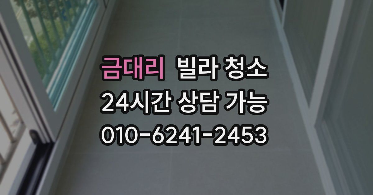 금대리 빌라 청소