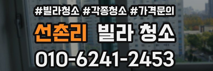 선촌리 빌라 청소