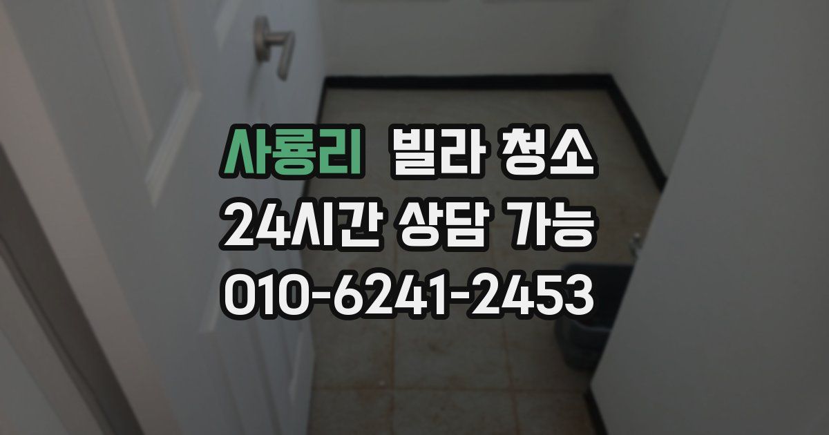 사룡리 빌라 청소