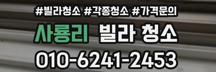 사룡리 빌라 청소