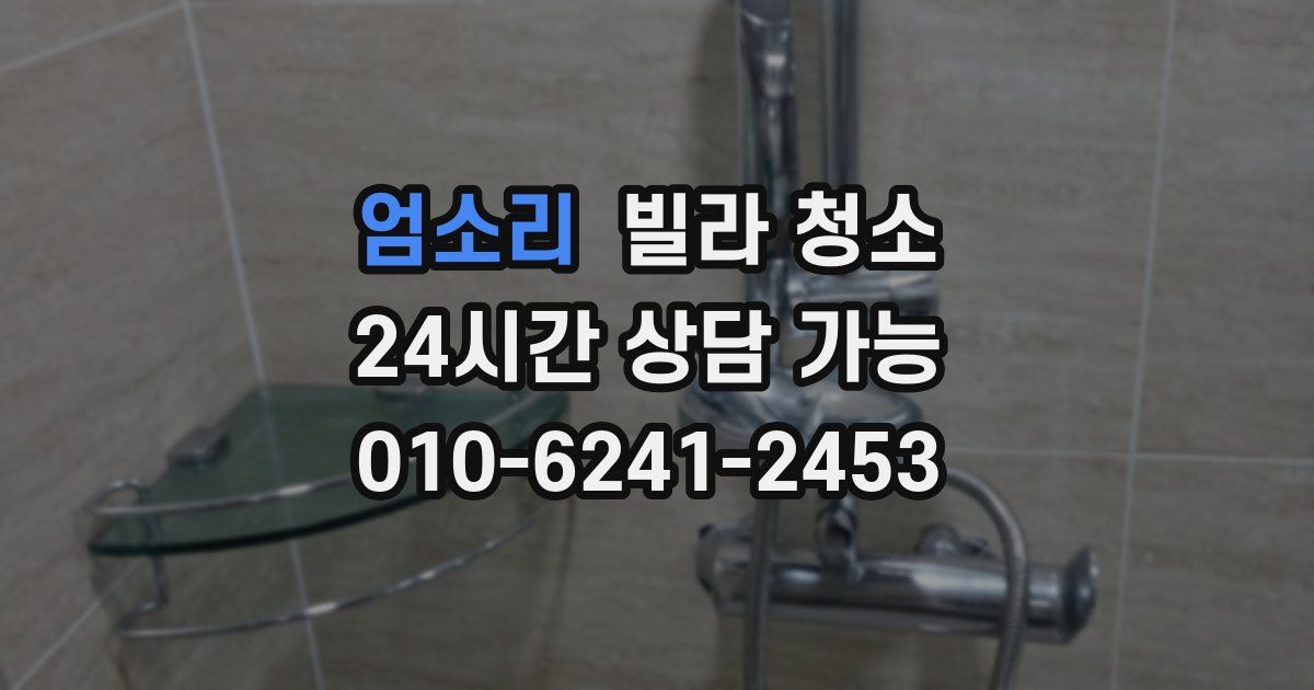 엄소리 빌라 청소