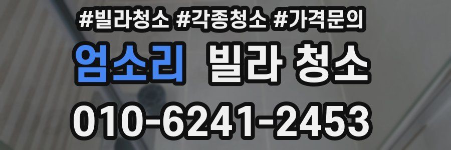 엄소리 빌라 청소