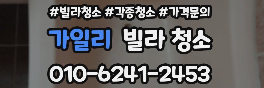 가일리 빌라 청소