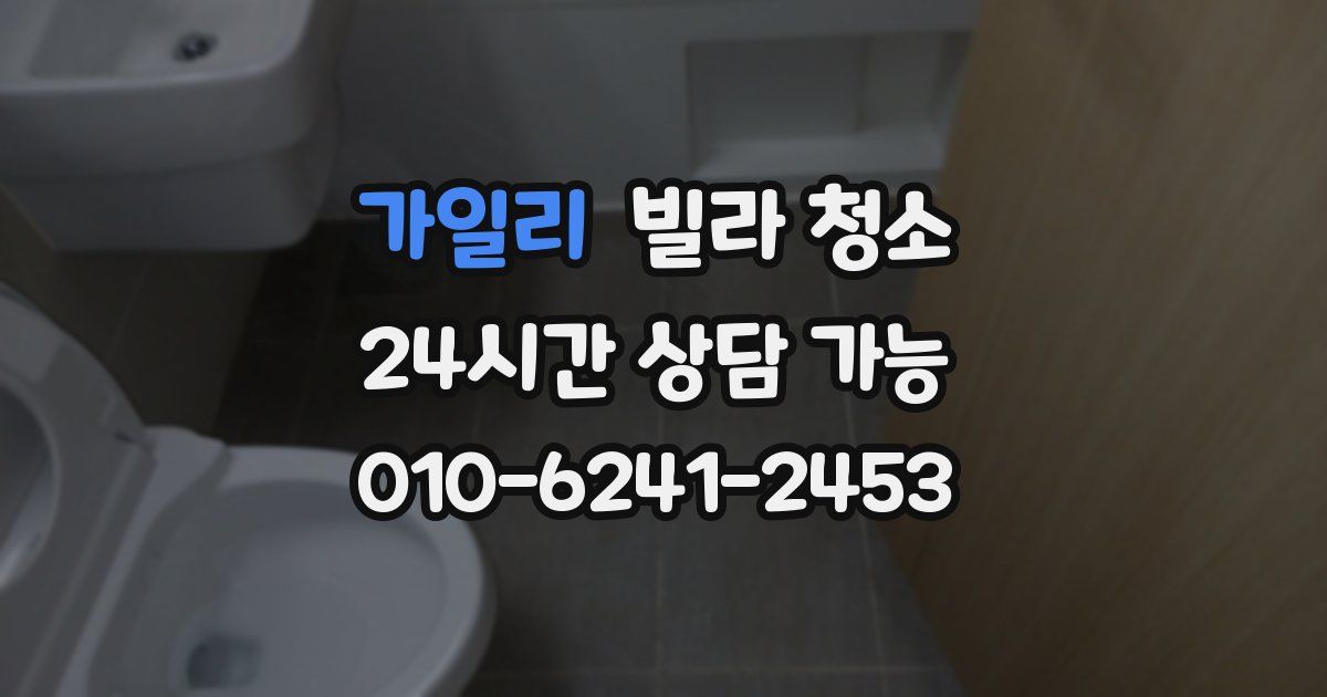 가일리 빌라 청소