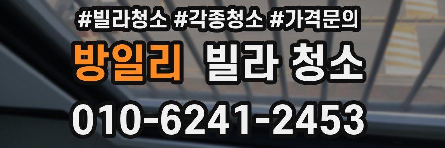 방일리 빌라 청소