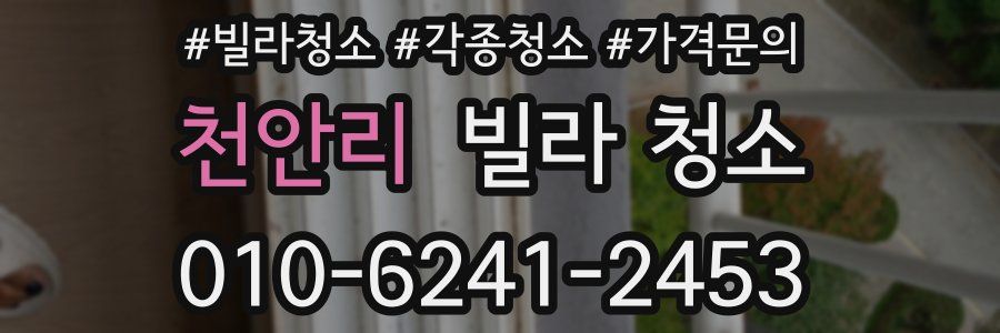 천안리 빌라 청소